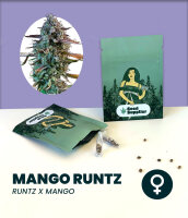 Mango Runtz 3 Stk. Seedsupplier