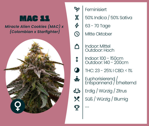 MAC 11 3 Stk. Seedsupplier