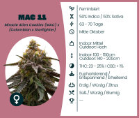 MAC 11 3 Stk. Seedsupplier