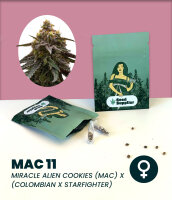 MAC 11 3 Stk. Seedsupplier