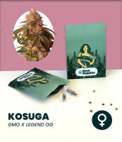 Kosuga - King of the Onionz 3 Stk.