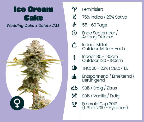 Ice Cream Cake 3 Stk. Seedsupplier