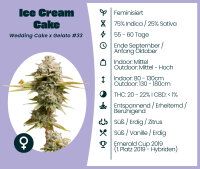 Ice Cream Cake 3 Stk. Seedsupplier
