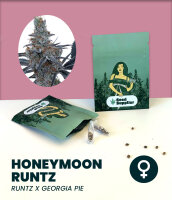 Honeymoon Runtz 3 Stk.Seedsupplier