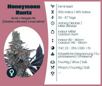 Honeymoon Runtz 3 Stk.Seedsupplier