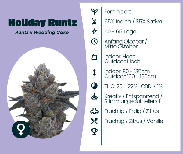 Holiday Runtz 3 Stk. Seedsupplier