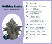 Holiday Runtz 3 Stk. Seedsupplier