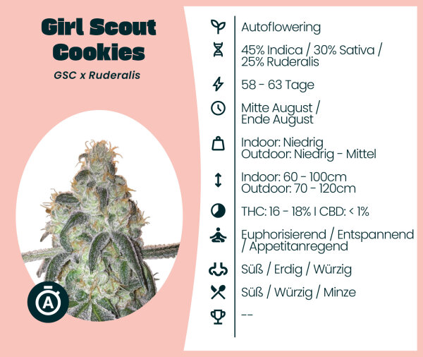 Girl Scout Cookies Automatic Seedsupplier 3 Stk.
