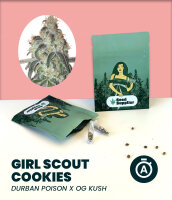 Girl Scout Cookies Automatic Seedsupplier 3 Stk.