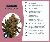 Garlotti Seedsupplier 3 Stk.