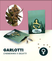 Garlotti Seedsupplier 3 Stk.