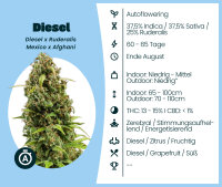 Diesel Automatic Seedsupplier 3 Stk.