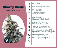 Cherry Runtz Seedsupplier 3 Stk.