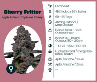 Cherry Fritter Seedsupplier 3 Stk.