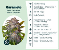 Caramelo Automatic Seedsupplier 3 Stk.