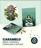 Caramelo Automatic Seedsupplier 3 Stk.
