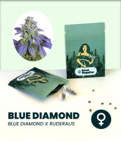 Blue Diamond Automatic Seedsupplier 3 Stk.