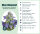 Blue Diamond Automatic Seedsupplier 3 Stk.