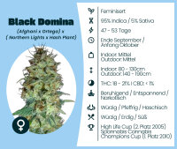 Black Domina Seedsupplier 3 Stk.
