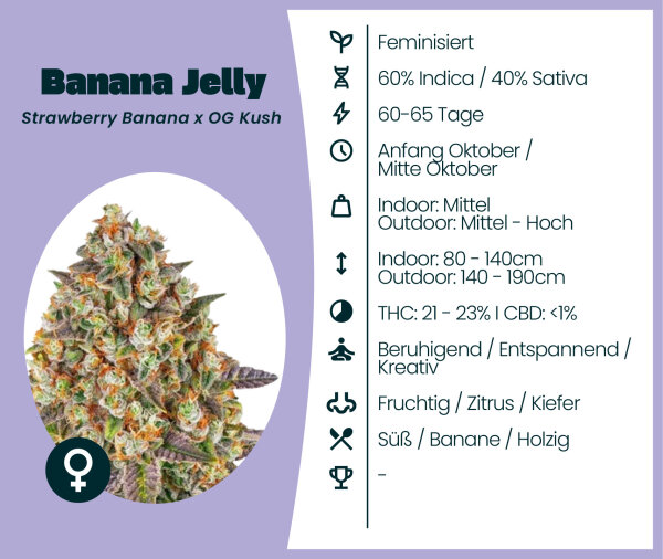 Banana Jelly Seedsupplier 3 Stk.