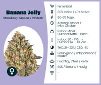 Banana Jelly Seedsupplier 3 Stk.