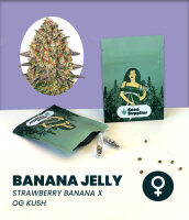 Banana Jelly Seedsupplier 3 Stk.