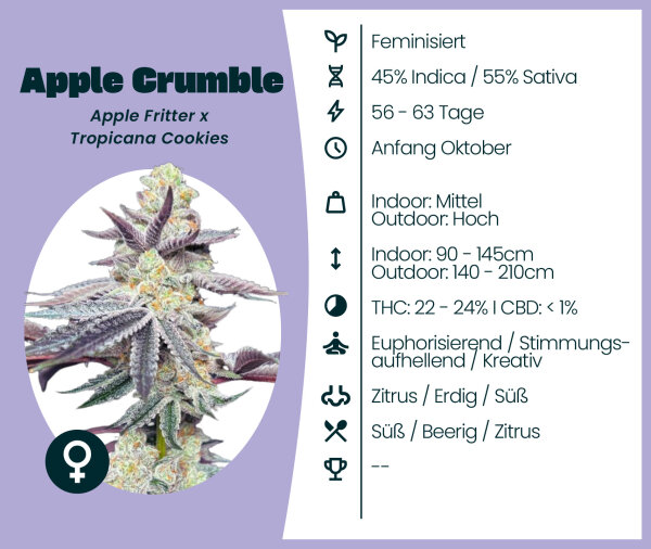 Apple Crumble Seedsupplier 3 Stk.