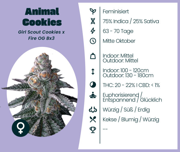 Animal Cookies Seedsupplier 3 Stk.