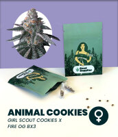 Animal Cookies Seedsupplier 3 Stk.