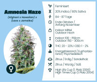 Amnesia Haze Seedsupplier 3 Stk.