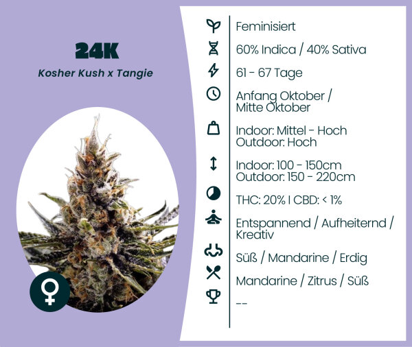 24K Seedsupplier 3 Stk.
