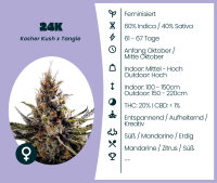 24K Seedsupplier 3 Stk.