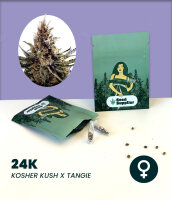 24K Seedsupplier 3 Stk.