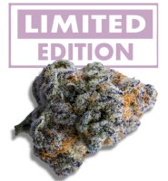 Growers Choice Platinum Mimosa Cookies XXL Auto Fem 3St.