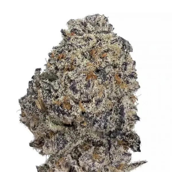 Oreoz Monkey Seeds 3 Stk.