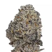 Oreoz Monkey Seeds 3 Stk.