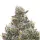 Grapes and Cream Monkey Seeds 3 Stk.