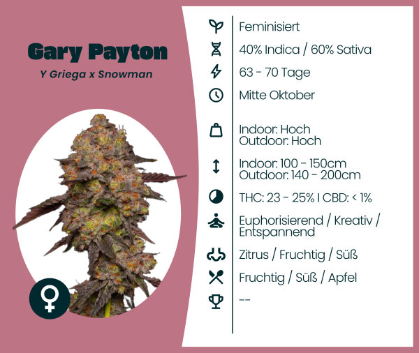 Gary Payton Seedsupplier 3 Stk.