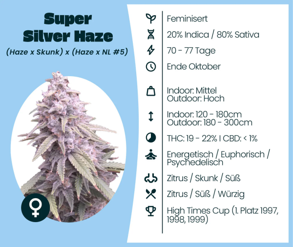 Super Silver Haze 3 Stk.