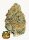 Fast Buds Lemon Mandarin Fem 3St.