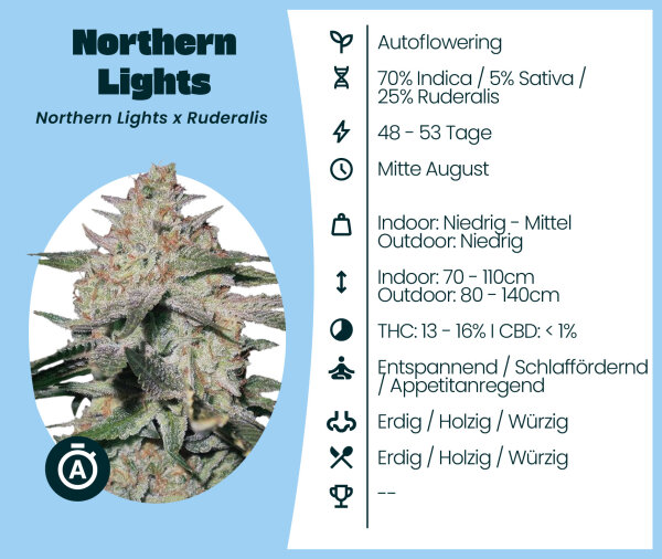 Northern Lights 3 Stk. #1